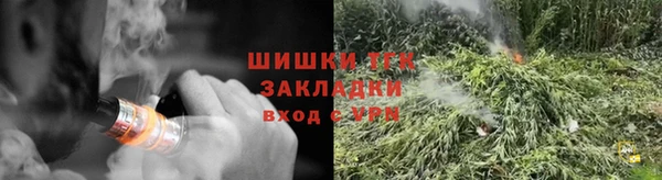 мдпв Володарск