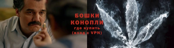 мдпв Володарск
