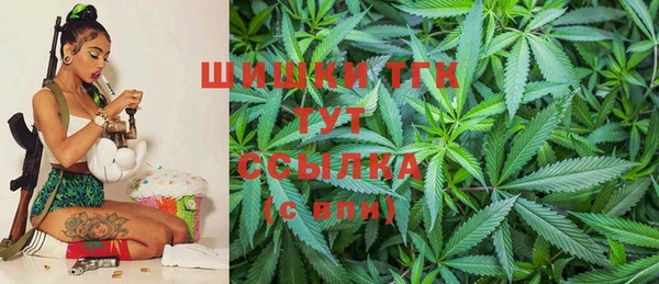 мдпв Володарск