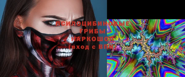 мдпв Володарск