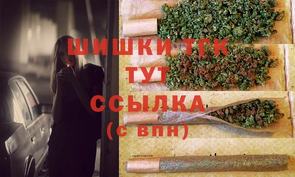 мдпв Володарск