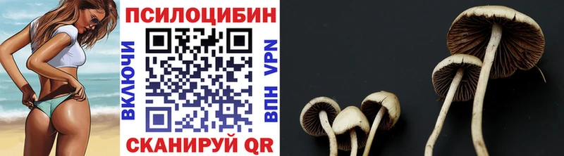 Галлюциногенные грибы Psilocybe  Петровск 